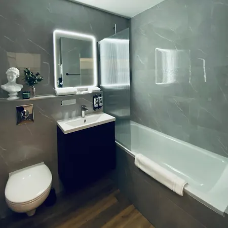 Galerie 466 Apartment Metz